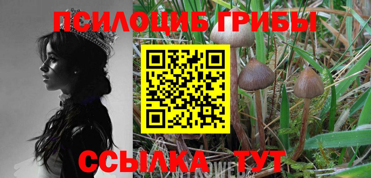где продают   Вход с VPN  Рязань  Псилоцибиновые грибы GOLDEN TEACHER 