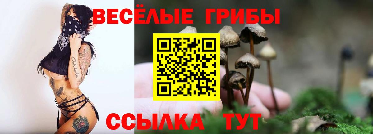 Галлюциногенные грибы мухоморы Рязань
