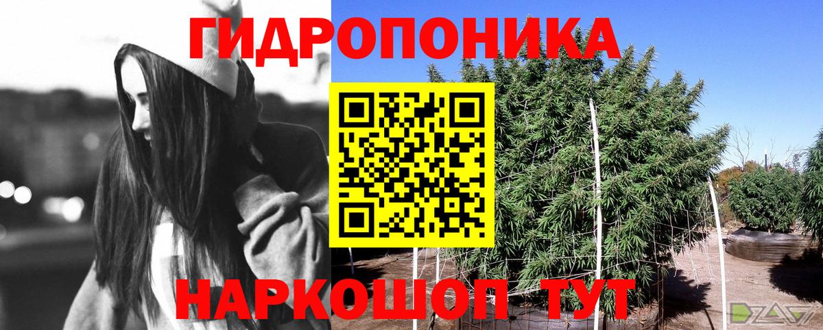 Каннабис индика  Бошки Шишки марихуана  Рязань  Вход с VPN 